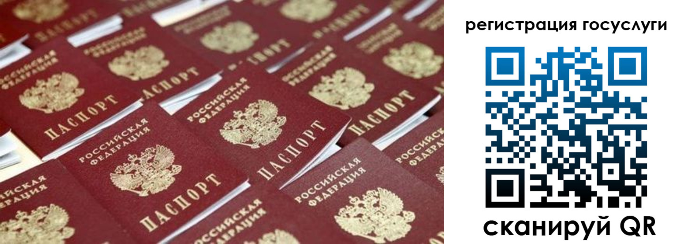 прописка ребенка в Волхове